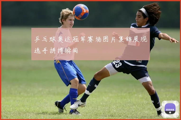 乒乓球奥运冠军赛场图片集锦展现选手拼搏瞬间