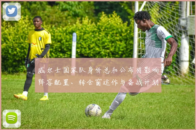 威尔士国家队身价总和公布将影响阵容配置、转会窗运作与备战计划