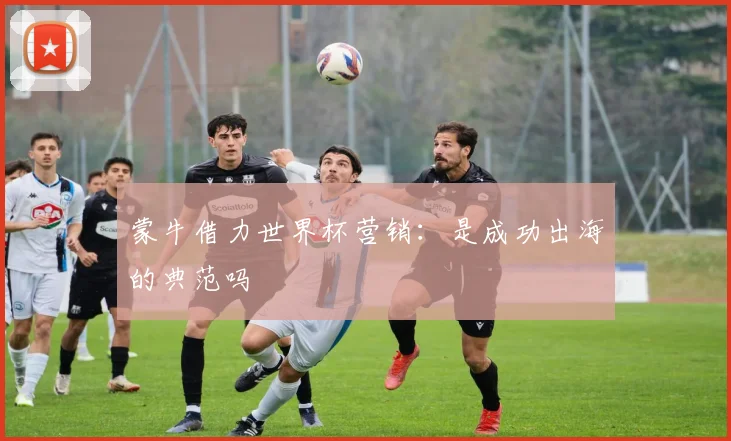 蒙牛借力世界杯营销:是成功出海的典范吗