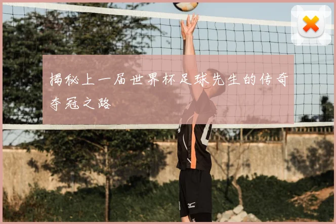 揭秘上一届世界杯足球先生的传奇夺冠之路