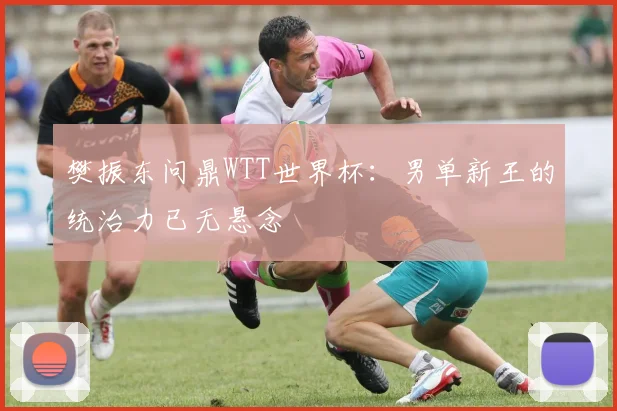 樊振东问鼎WTT世界杯：男单新王的统治力已无悬念