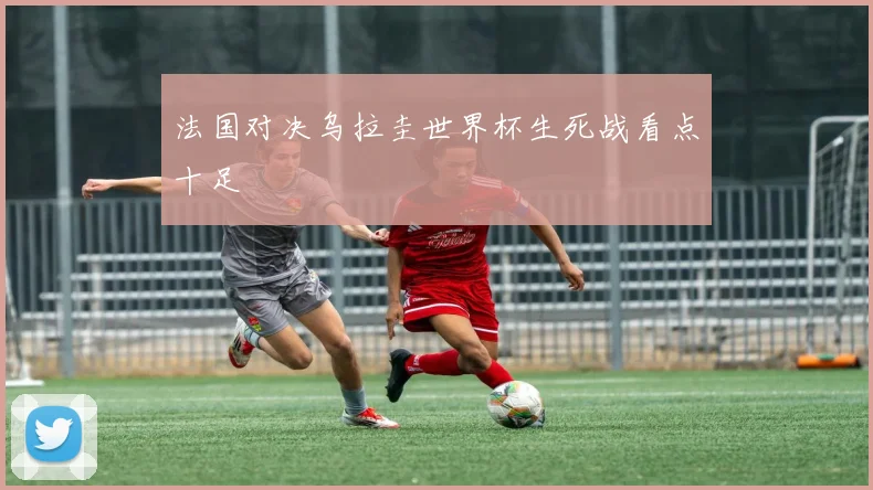 法国对决乌拉圭世界杯生死战看点十足