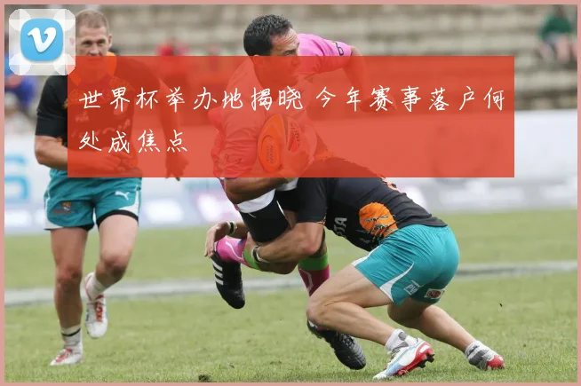 世界杯举办地揭晓 今年赛事落户何处成焦点