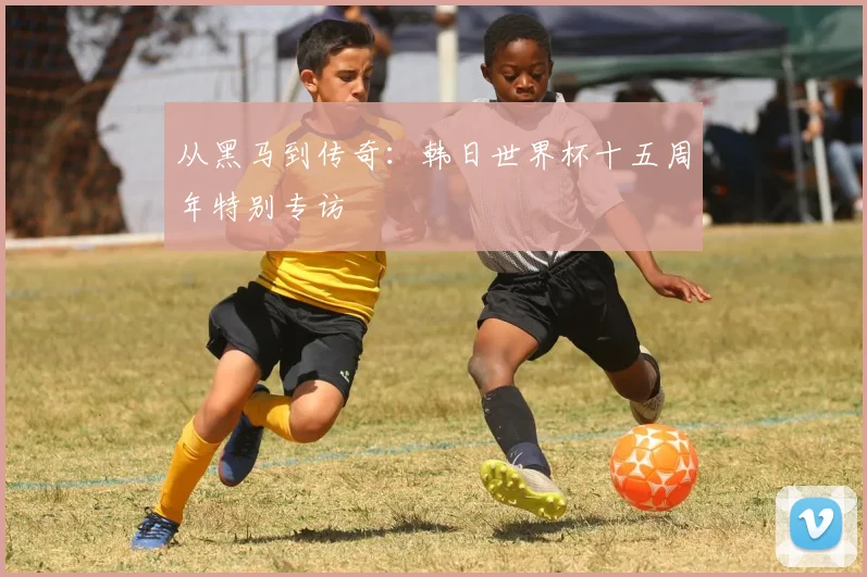 从黑马到传奇:韩日世界杯十五周年特别专访