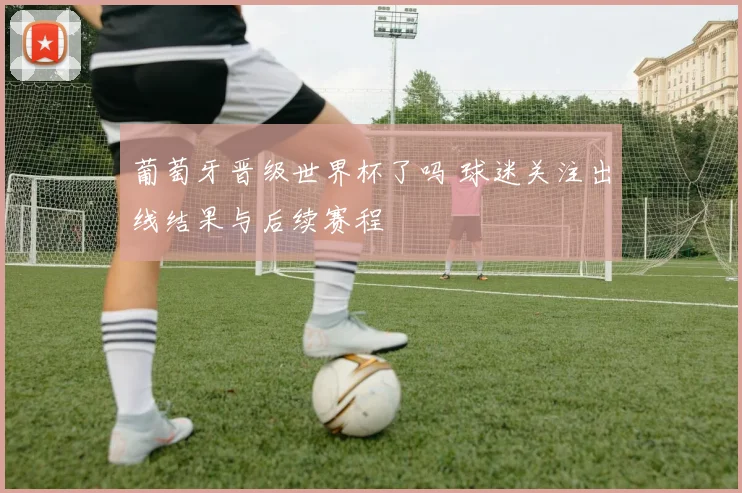 葡萄牙晋级世界杯了吗 球迷关注出线结果与后续赛程