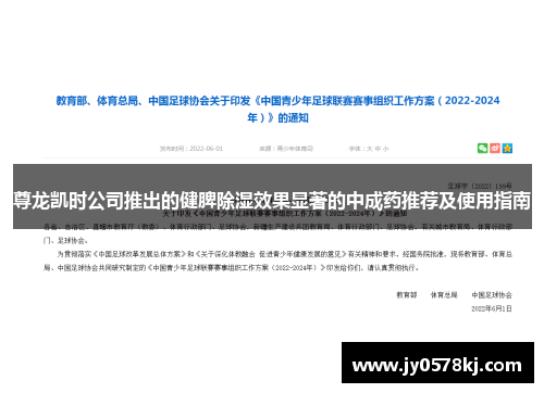 尊龙凯时公司推出的健脾除湿效果显著的中成药推荐及使用指南