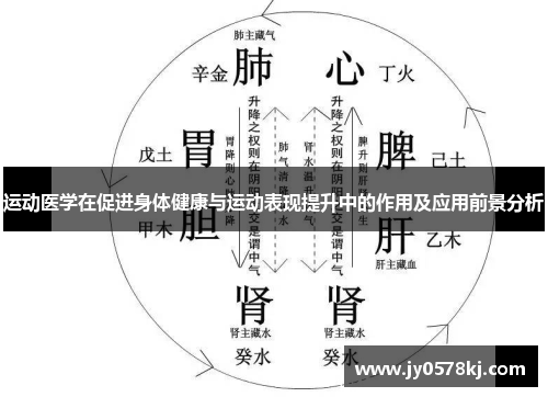 运动医学在促进身体健康与运动表现提升中的作用及应用前景分析